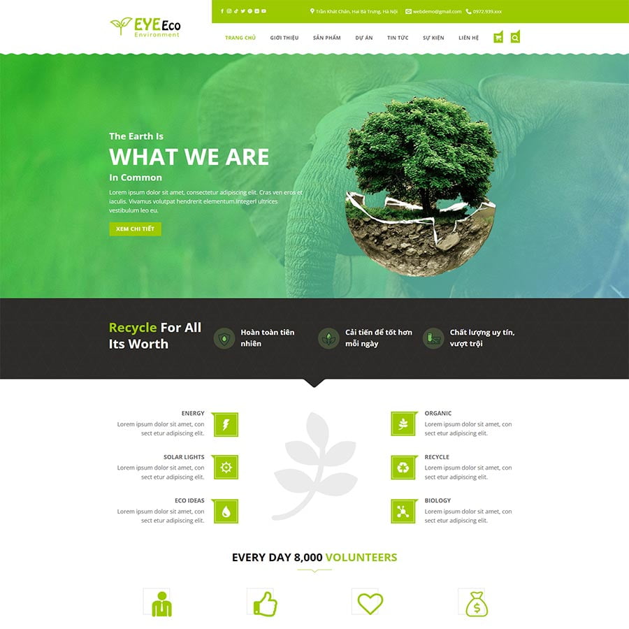 Theme WordPress công ty Digital Marketing 03 - Ảnh 41